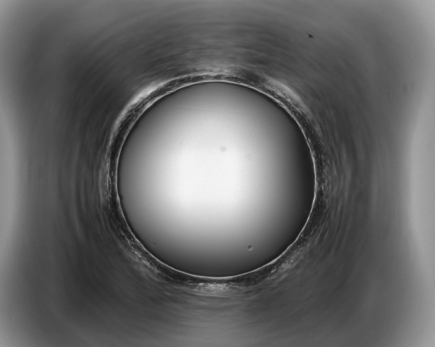 X0000086721172200704271605
