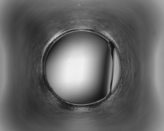 X0000086721173200704271605