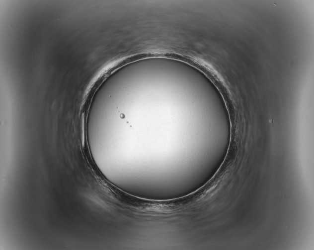 X0000086721175200704271605