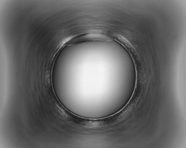 X0000086721177200704271604