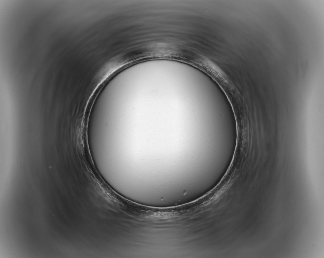 X0000086721178200704271604