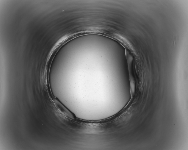 X0000086721180200704271604