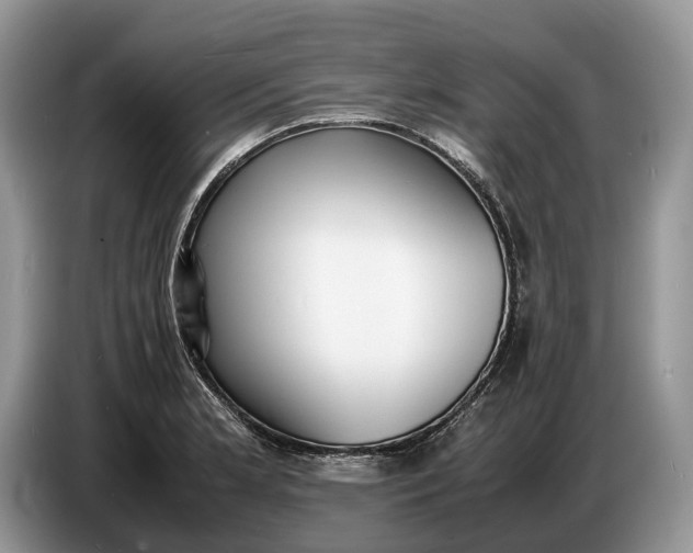 X0000086721181200704271604