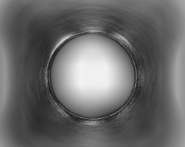 X0000086721182200704271604