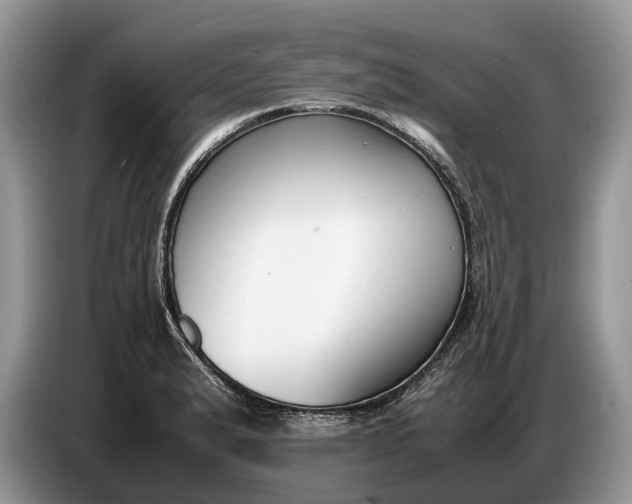 X0000086721183200704271604