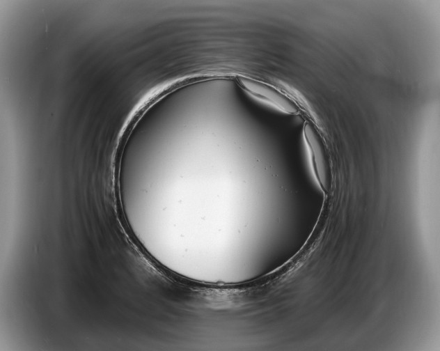 X0000086721184200704271604