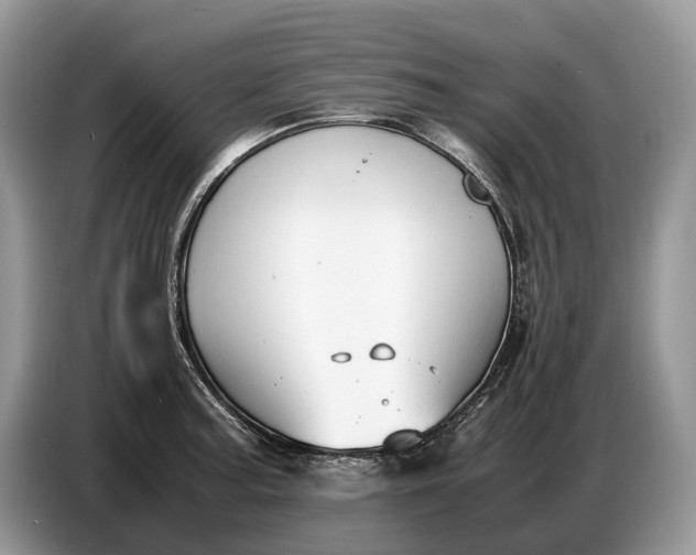 X0000086721187200704271604