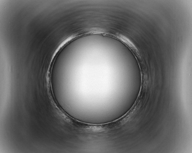 X0000086721190200704271604