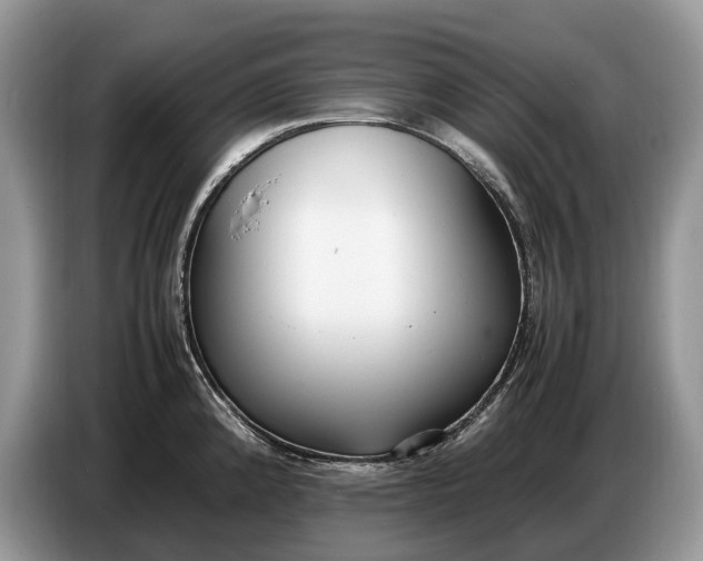 X0000086721192200704271604