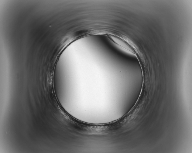 X0000086721193200704271604