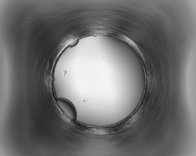 X0000086721194200704271604
