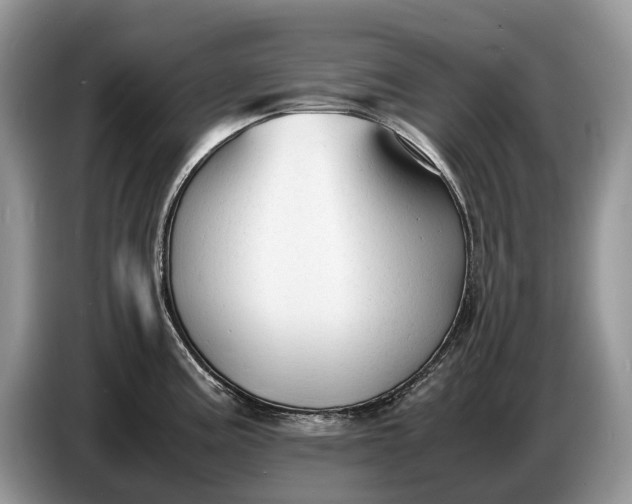 X0000086721195200704271604