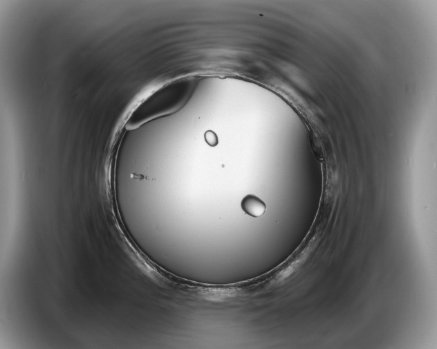 X0000086721196200704271604