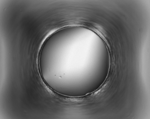 X0000086721197200704271604