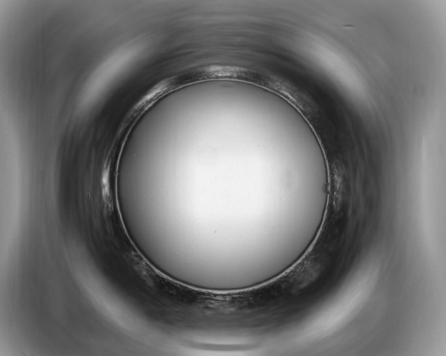X0000086721198200704271604
