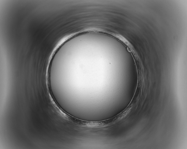 X0000086721199200704271604