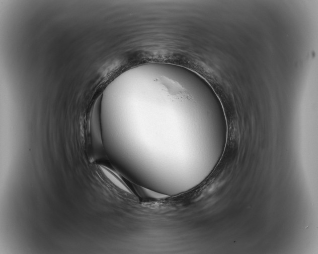X0000086721202200704271604