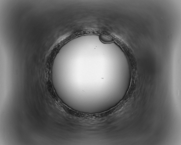 X0000086721207200704271604