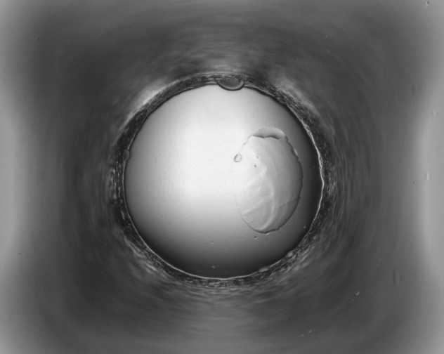 X0000086721208200704271604