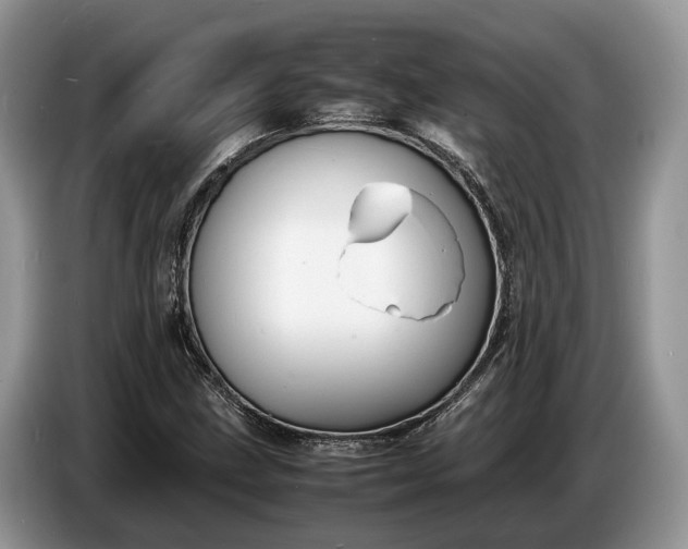 X0000086721211200704271604