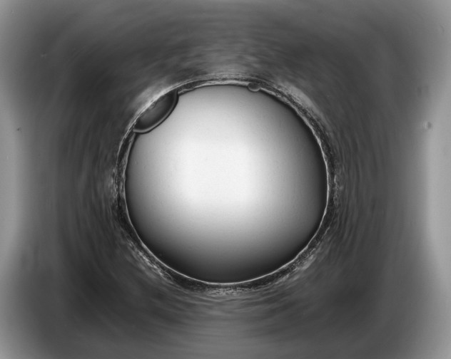 X0000086721212200704271604