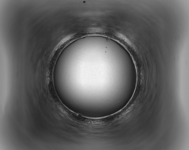 X0000086721213200704271604