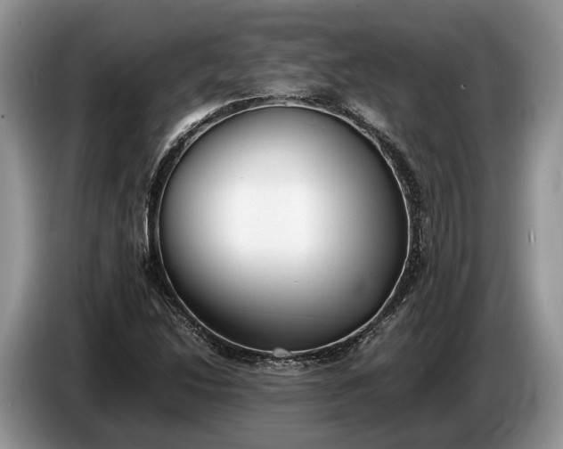 X0000086721214200704271604