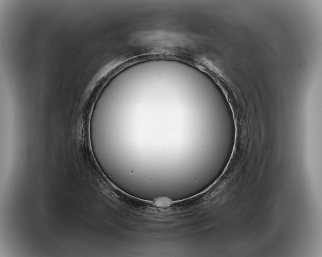X0000086721215200704271604