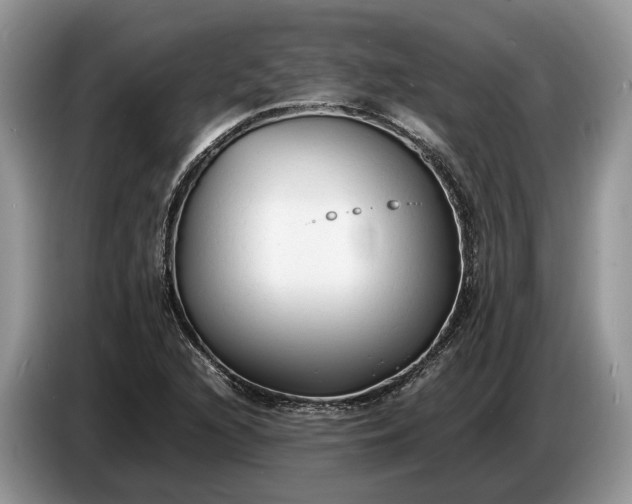 X0000086721216200704271604