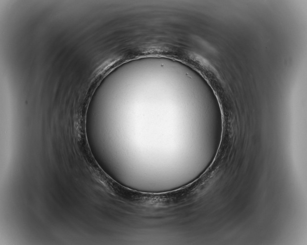 X0000086721217200704271604