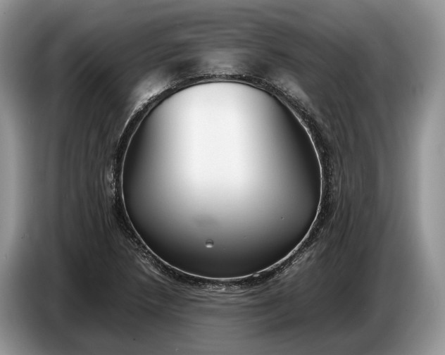 X0000086721218200704271604