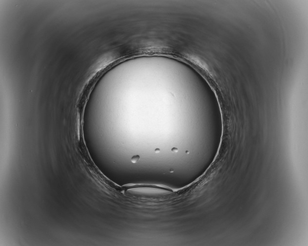 X0000086721219200704271604