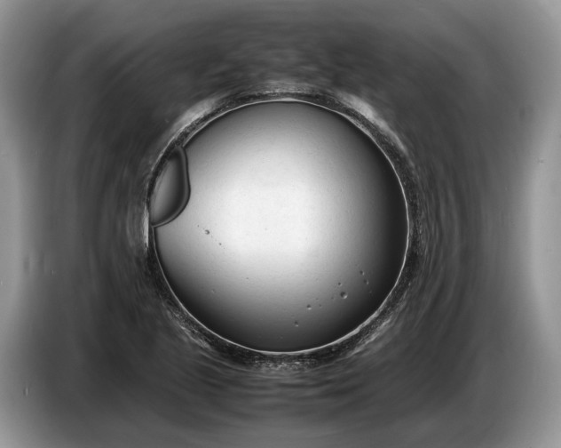 X0000086721221200704271604