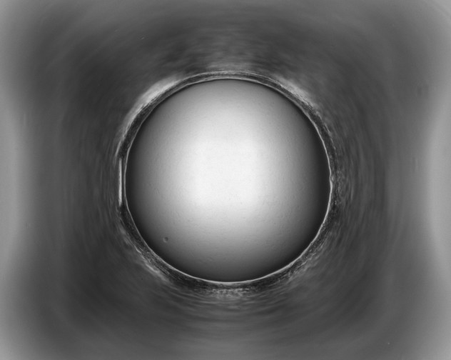 X0000086721223200704271604