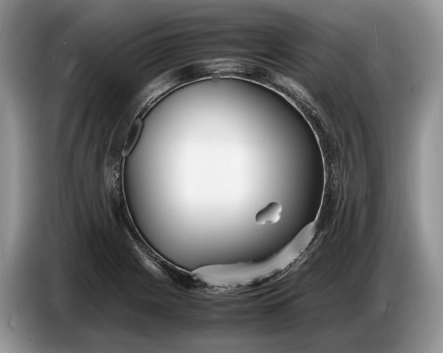 X0000086721225200704271604