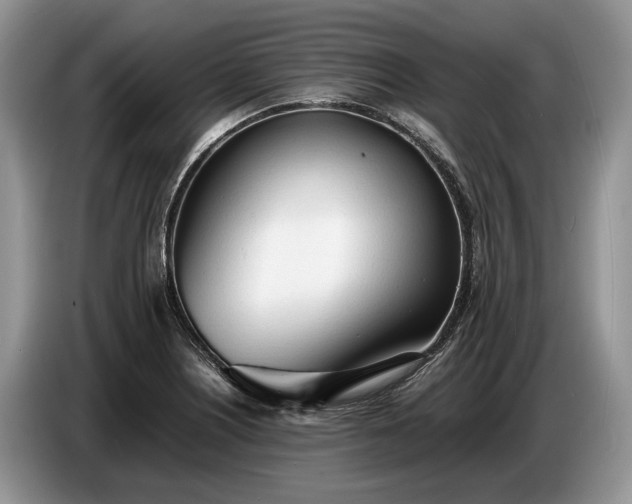 X0000086721226200704271604