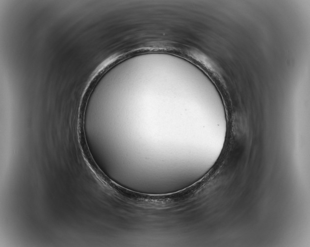 X0000086721229200704271604