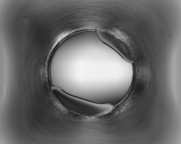 X0000086721230200704271604