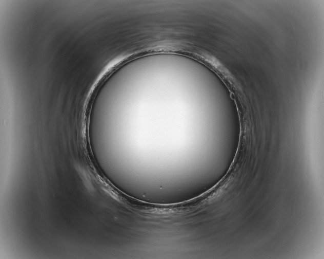 X0000086721232200704271604