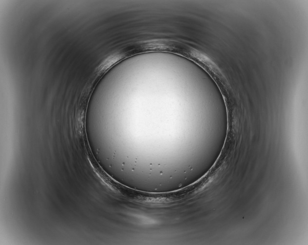 X0000086721233200704271604