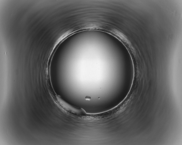 X0000086721234200704271604