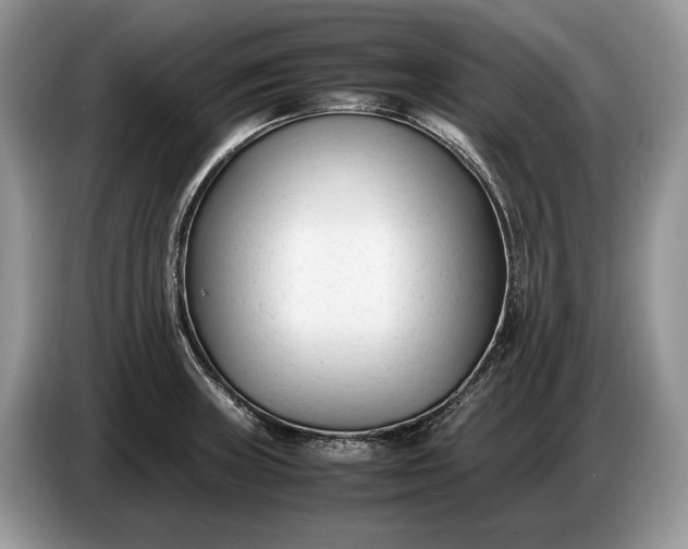 X0000086721235200704271604