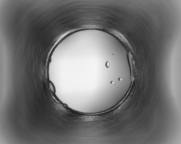 X0000086721236200704271604