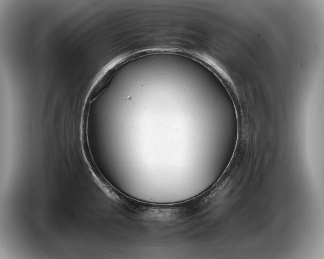 X0000086721237200704271604
