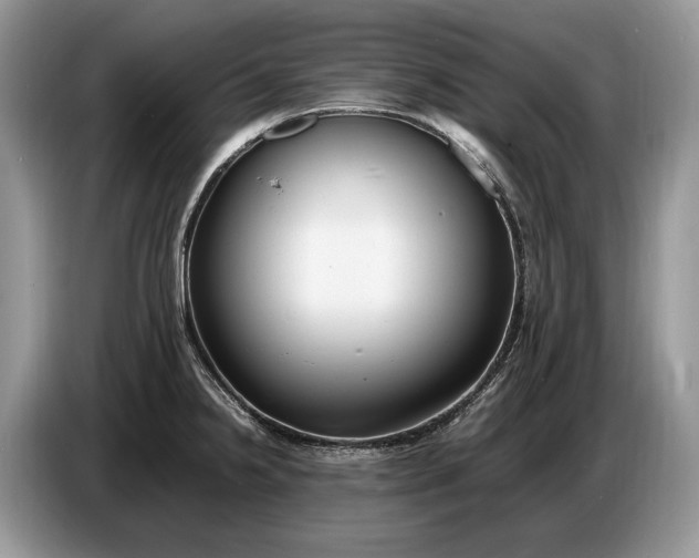 X0000086721238200704271604