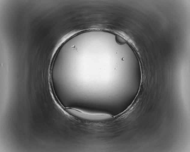X0000086721239200704271604
