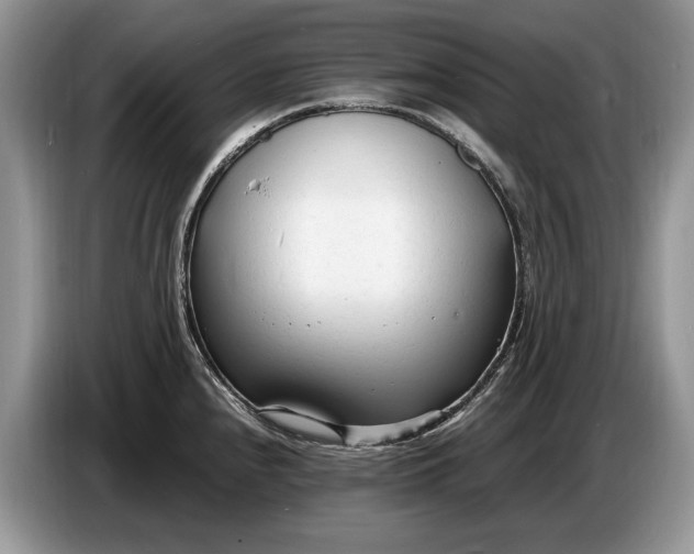 X0000086721240200704271604