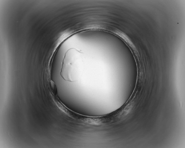 X0000086721242200704271604