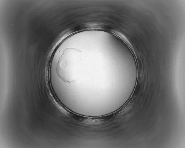 X0000086721243200704271604