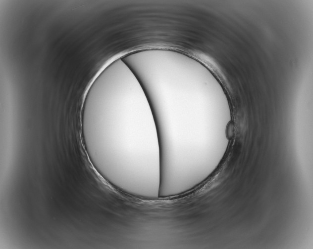 X0000086721244200704271604